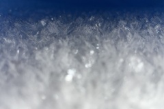 Snow Crystals