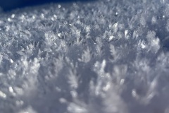 Snow Crystals