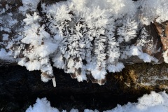Snow Crystals