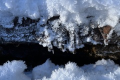 Snow Crystals