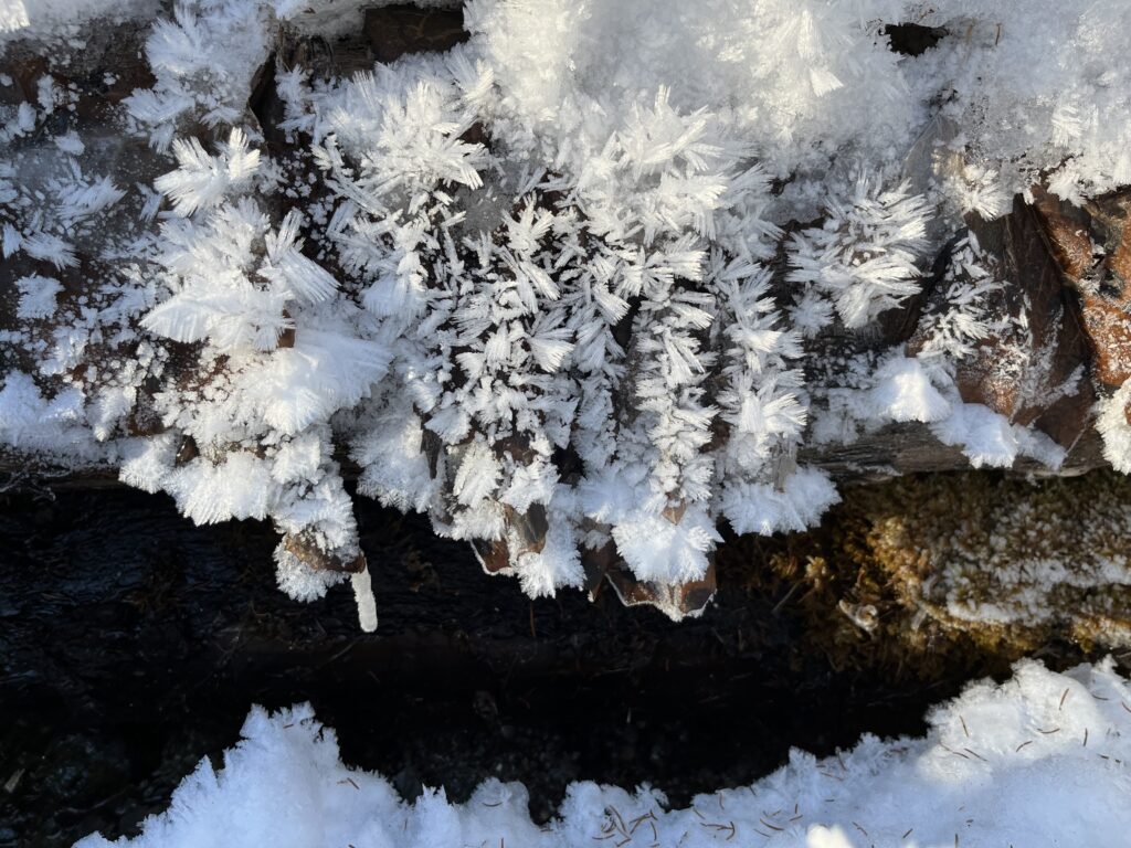 Snow Crystals